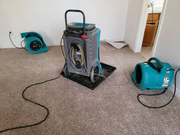 Best Flooded house restoration  in Turlock, CA