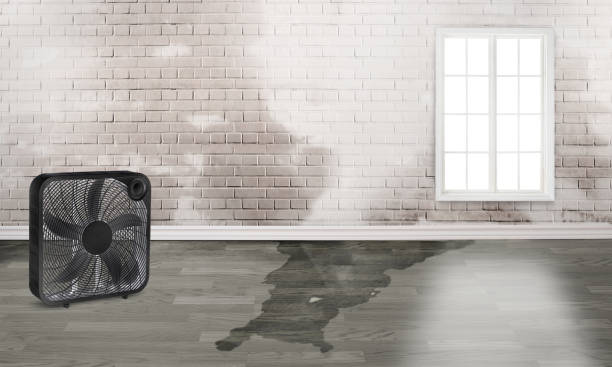 Best Water damage restoration near me  in Turlock, CA