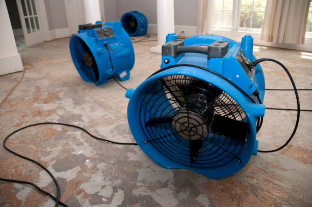 Best Flood restoration services  in Turlock, CA