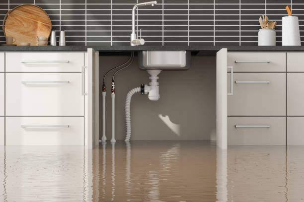 Best Water damage contractors near me  in Turlock, CA