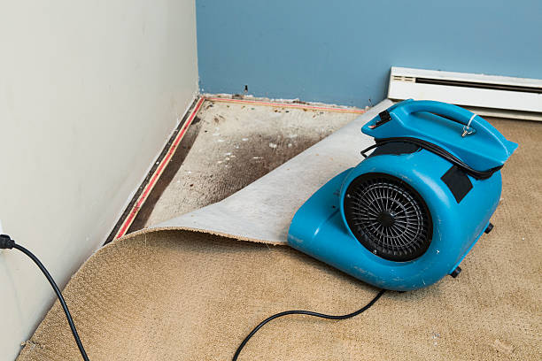 Best Sewage cleanup and water damage restoration  in Turlock, CA